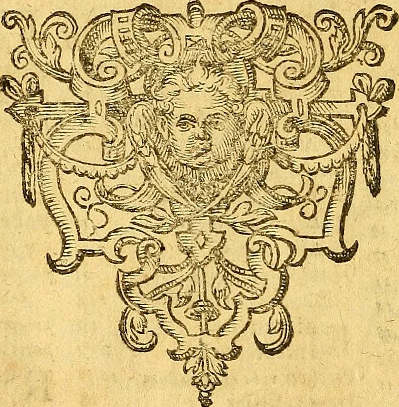 An illustration from Historia novi et admirabilis fontis balneique Bollensis in Ducatu Vvirtembergico ad acidulas Goepingenses ..., 1598, leaf 565