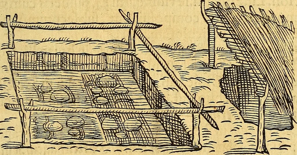 An illustration from Historia novi et admirabilis fontis balneique Bollensis in Ducatu Vvirtembergico ad acidulas Goepingenses ..., 1598, leaf 566