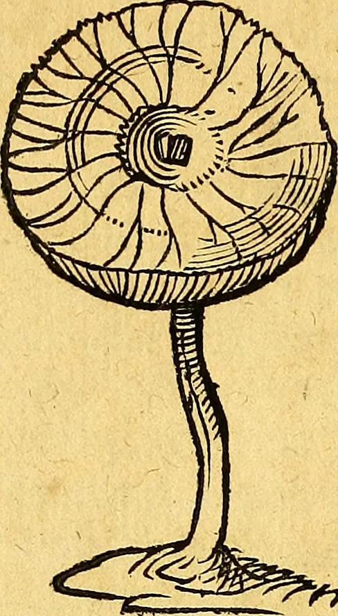 An illustration from Historia novi et admirabilis fontis balneique Bollensis in Ducatu Vvirtembergico ad acidulas Goepingenses ..., 1598, leaf 571