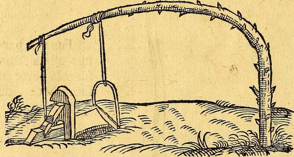 An illustration from Historia novi et admirabilis fontis balneique Bollensis in Ducatu Vvirtembergico ad acidulas Goepingenses ..., 1598, leaf 571