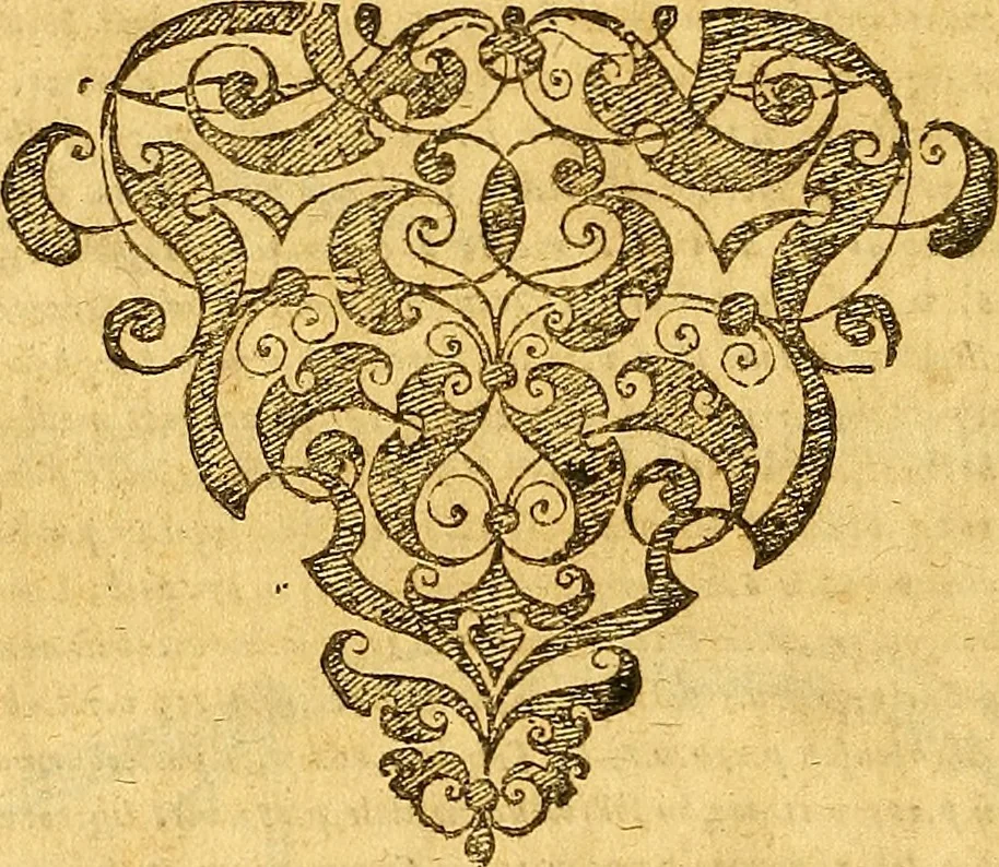 An illustration from Historia novi et admirabilis fontis balneique Bollensis in Ducatu Vvirtembergico ad acidulas Goepingenses ..., 1598, leaf 573