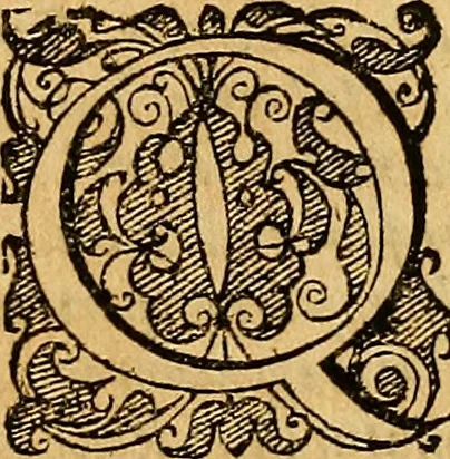 An illustration from Historia novi et admirabilis fontis balneique Bollensis in Ducatu Wirtembergico ad acidulas Goepingenses : mandato illustris. principis ac D.D. Frid. Ducis Vvirtemberg. et Teccensis. Comitis Montisbelig. &c. ac Equ. Ord. Reg. Gall. ad subditorum omniumqu[e] vicinorum & exterorum emolumentum ob vires insignes adornati,, 1598, leaf 203