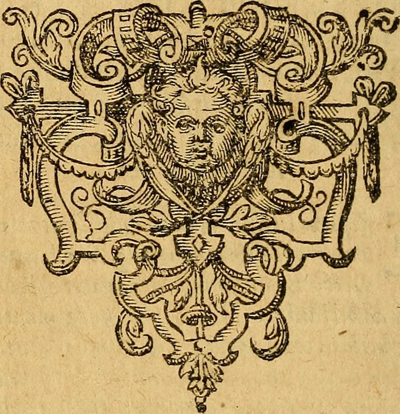 An illustration from Historia novi et admirabilis fontis balneique Bollensis in Ducatu Wirtembergico ad acidulas Goepingenses : mandato illustris. principis ac D.D. Frid. Ducis Vvirtemberg. et Teccensis. Comitis Montisbelig. &c. ac Equ. Ord. Reg. Gall. ad subditorum omniumqu[e] vicinorum & exterorum emolumentum ob vires insignes adornati,, 1598, leaf 25