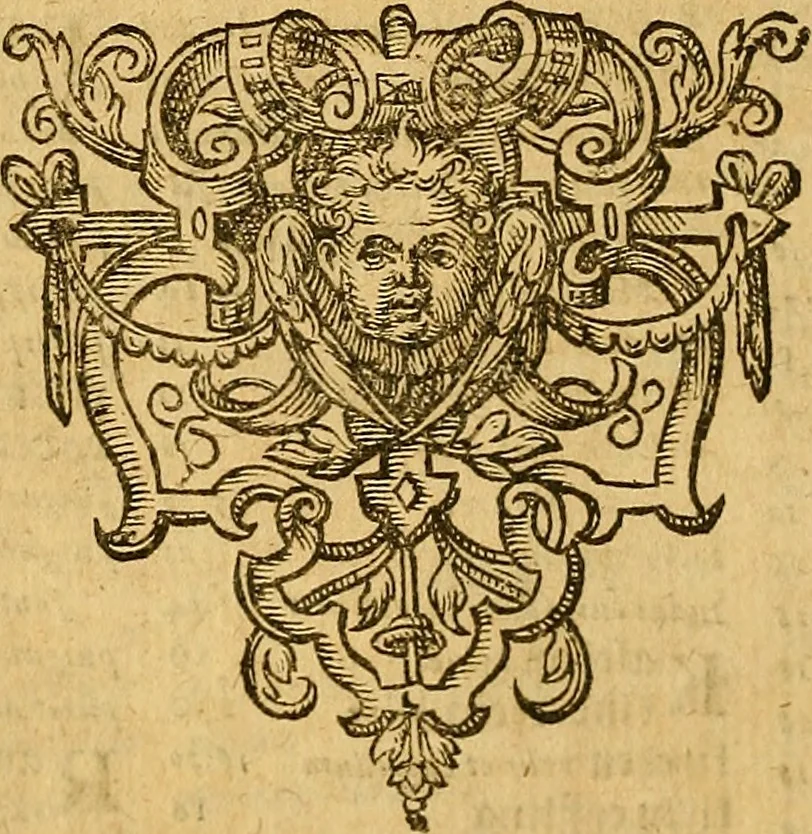 An illustration from Historia novi et admirabilis fontis balneique Bollensis in Ducatu Wirtembergico ad acidulas Goepingenses : mandato illustris. principis ac D.D. Frid. Ducis Vvirtemberg. et Teccensis. Comitis Montisbelig. &c. ac Equ. Ord. Reg. Gall. ad subditorum omniumqu[e] vicinorum & exterorum emolumentum ob vires insignes adornati,, 1598, leaf 335