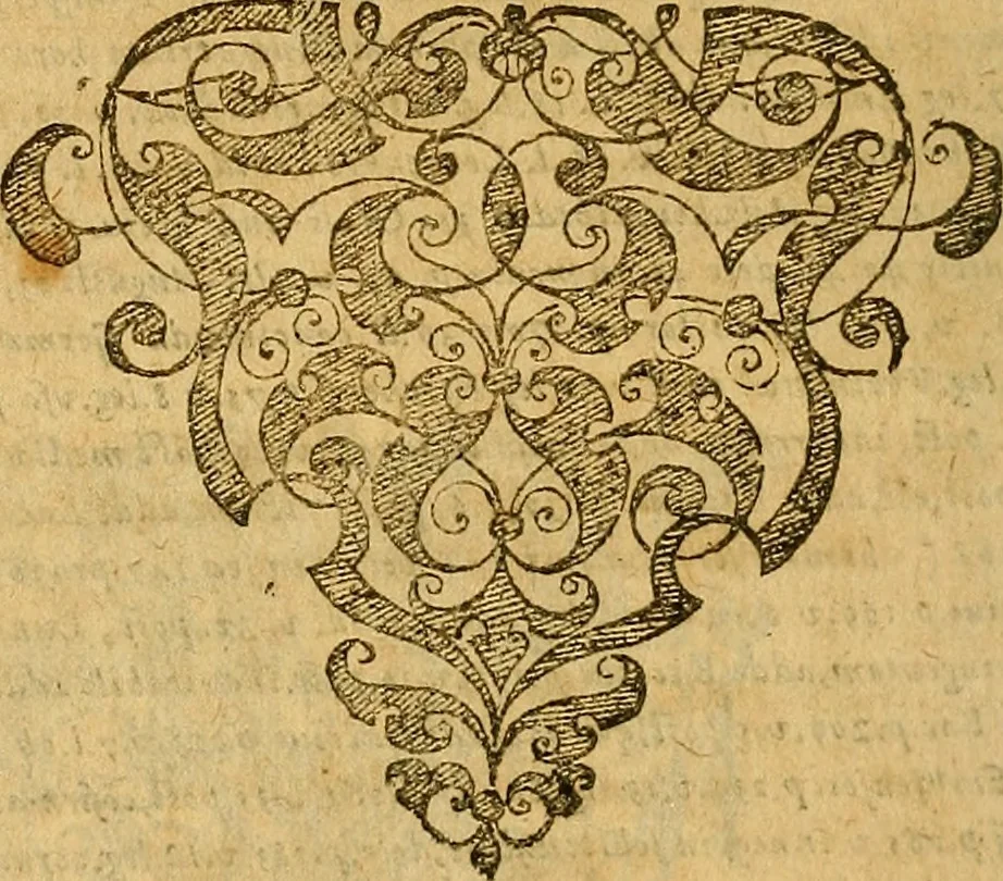 An illustration from Historia novi et admirabilis fontis balneique Bollensis in Ducatu Wirtembergico ad acidulas Goepingenses : mandato illustris. principis ac D.D. Frid. Ducis Vvirtemberg. et Teccensis. Comitis Montisbelig. &c. ac Equ. Ord. Reg. Gall. ad subditorum omniumqu[e] vicinorum & exterorum emolumentum ob vires insignes adornati,, 1598, leaf 337