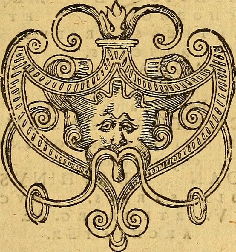 An illustration from Historia novi et admirabilis fontis balneique Bollensis in Ducatu Wirtembergico ad acidulas Goepingenses : mandato illustris. principis ac D.D. Frid. Ducis Vvirtemberg. et Teccensis. Comitis Montisbelig. &c. ac Equ. Ord. Reg. Gall. ad subditorum omniumqu[e] vicinorum & exterorum emolumentum ob vires insignes adornati,, 1598, leaf 338