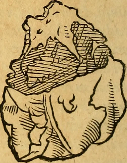 An illustration from Historia novi et admirabilis fontis balneique Bollensis in Ducatu Wirtembergico ad acidulas Goepingenses : mandato illustris. principis ac D.D. Frid. Ducis Vvirtemberg. et Teccensis. Comitis Montisbelig. &c. ac Equ. Ord. Reg. Gall. ad subditorum omniumqu[e] vicinorum & exterorum emolumentum ob vires insignes adornati,, 1598, leaf 347