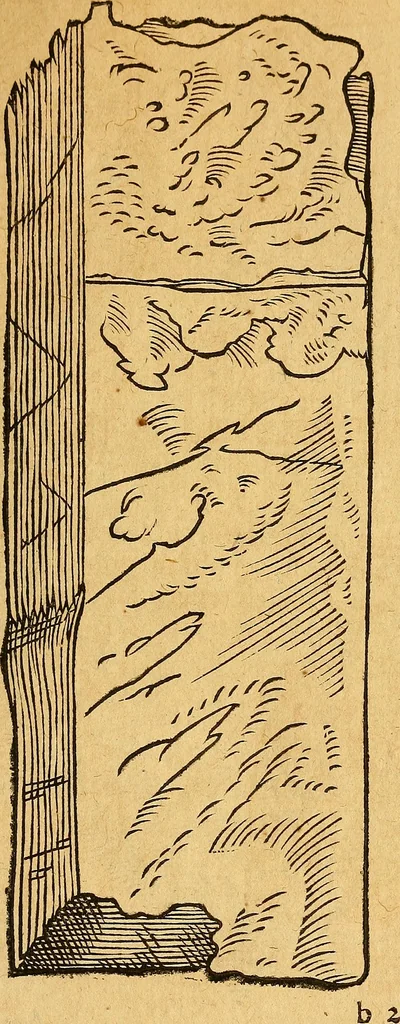 An illustration from Historia novi et admirabilis fontis balneique Bollensis in Ducatu Wirtembergico ad acidulas Goepingenses : mandato illustris. principis ac D.D. Frid. Ducis Vvirtemberg. et Teccensis. Comitis Montisbelig. &c. ac Equ. Ord. Reg. Gall. ad subditorum omniumqu[e] vicinorum & exterorum emolumentum ob vires insignes adornati,, 1598, leaf 348