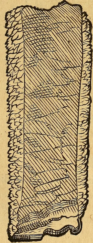 An illustration from Historia novi et admirabilis fontis balneique Bollensis in Ducatu Wirtembergico ad acidulas Goepingenses : mandato illustris. principis ac D.D. Frid. Ducis Vvirtemberg. et Teccensis. Comitis Montisbelig. &c. ac Equ. Ord. Reg. Gall. ad subditorum omniumqu[e] vicinorum & exterorum emolumentum ob vires insignes adornati,, 1598, leaf 356