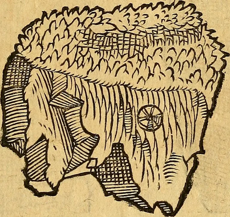 An illustration from Historia novi et admirabilis fontis balneique Bollensis in Ducatu Wirtembergico ad acidulas Goepingenses : mandato illustris. principis ac D.D. Frid. Ducis Vvirtemberg. et Teccensis. Comitis Montisbelig. &c. ac Equ. Ord. Reg. Gall. ad subditorum omniumqu[e] vicinorum & exterorum emolumentum ob vires insignes adornati,, 1598, leaf 358