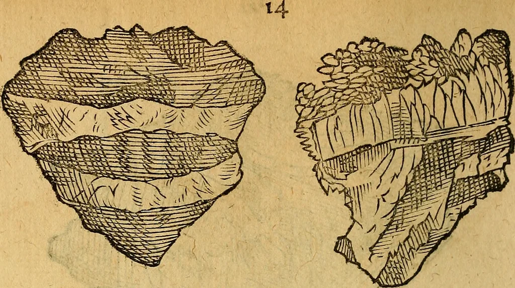 An illustration from Historia novi et admirabilis fontis balneique Bollensis in Ducatu Wirtembergico ad acidulas Goepingenses : mandato illustris. principis ac D.D. Frid. Ducis Vvirtemberg. et Teccensis. Comitis Montisbelig. &c. ac Equ. Ord. Reg. Gall. ad subditorum omniumqu[e] vicinorum & exterorum emolumentum ob vires insignes adornati,, 1598, leaf 359
