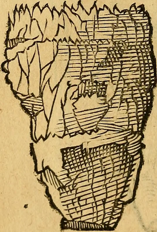 An illustration from Historia novi et admirabilis fontis balneique Bollensis in Ducatu Wirtembergico ad acidulas Goepingenses : mandato illustris. principis ac D.D. Frid. Ducis Vvirtemberg. et Teccensis. Comitis Montisbelig. &c. ac Equ. Ord. Reg. Gall. ad subditorum omniumqu[e] vicinorum & exterorum emolumentum ob vires insignes adornati,, 1598, leaf 359