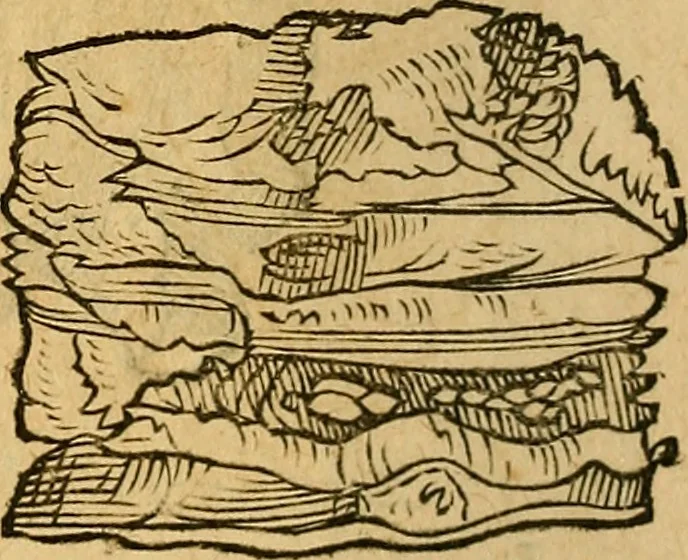 An illustration from Historia novi et admirabilis fontis balneique Bollensis in Ducatu Wirtembergico ad acidulas Goepingenses : mandato illustris. principis ac D.D. Frid. Ducis Vvirtemberg. et Teccensis. Comitis Montisbelig. &c. ac Equ. Ord. Reg. Gall. ad subditorum omniumqu[e] vicinorum & exterorum emolumentum ob vires insignes adornati,, 1598, leaf 359