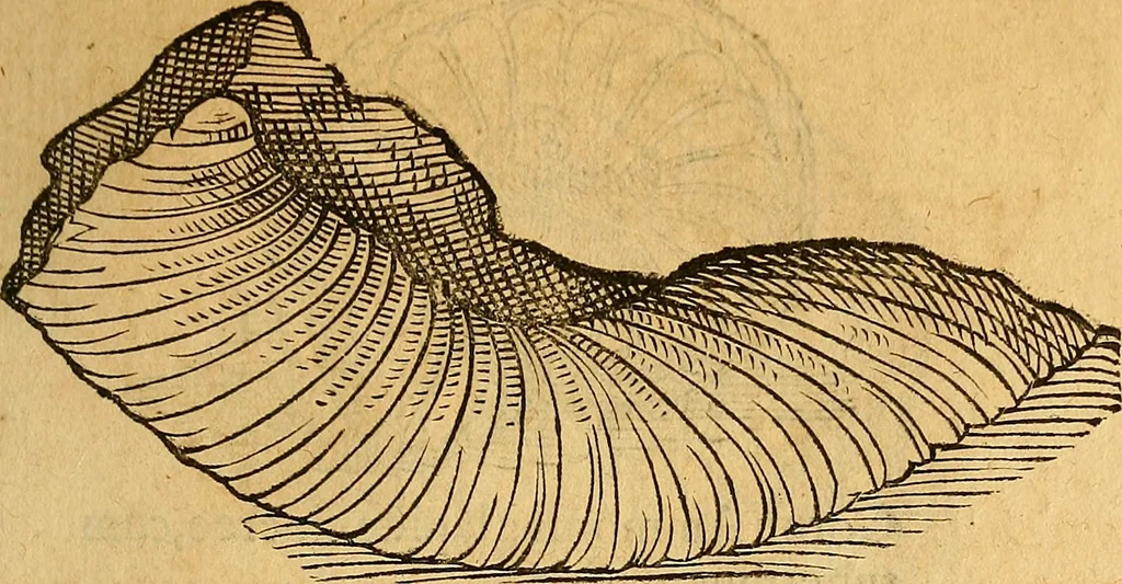 An illustration from Historia novi et admirabilis fontis balneique Bollensis in Ducatu Wirtembergico ad acidulas Goepingenses : mandato illustris. principis ac D.D. Frid. Ducis Vvirtemberg. et Teccensis. Comitis Montisbelig. &c. ac Equ. Ord. Reg. Gall. ad subditorum omniumqu[e] vicinorum & exterorum emolumentum ob vires insignes adornati,, 1598, leaf 360