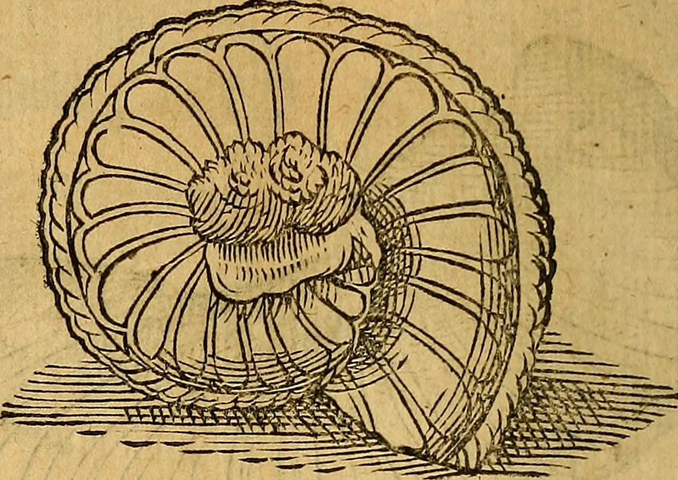 An illustration from Historia novi et admirabilis fontis balneique Bollensis in Ducatu Wirtembergico ad acidulas Goepingenses : mandato illustris. principis ac D.D. Frid. Ducis Vvirtemberg. et Teccensis. Comitis Montisbelig. &c. ac Equ. Ord. Reg. Gall. ad subditorum omniumqu[e] vicinorum & exterorum emolumentum ob vires insignes adornati,, 1598, leaf 361