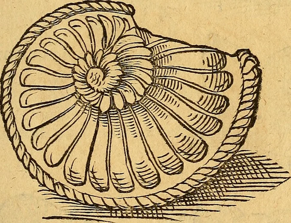 An illustration from Historia novi et admirabilis fontis balneique Bollensis in Ducatu Wirtembergico ad acidulas Goepingenses : mandato illustris. principis ac D.D. Frid. Ducis Vvirtemberg. et Teccensis. Comitis Montisbelig. &c. ac Equ. Ord. Reg. Gall. ad subditorum omniumqu[e] vicinorum & exterorum emolumentum ob vires insignes adornati,, 1598, leaf 364