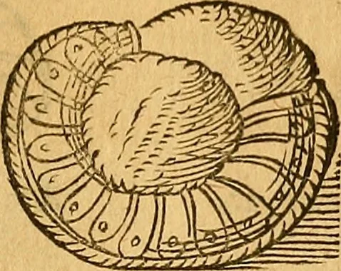 An illustration from Historia novi et admirabilis fontis balneique Bollensis in Ducatu Wirtembergico ad acidulas Goepingenses : mandato illustris. principis ac D.D. Frid. Ducis Vvirtemberg. et Teccensis. Comitis Montisbelig. &c. ac Equ. Ord. Reg. Gall. ad subditorum omniumqu[e] vicinorum & exterorum emolumentum ob vires insignes adornati,, 1598, leaf 366