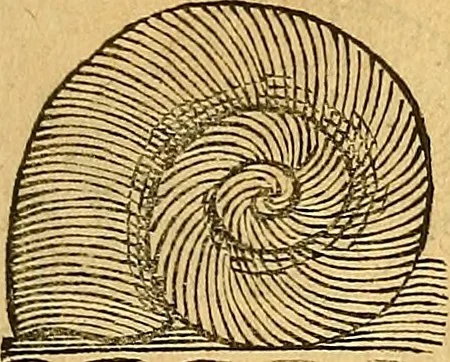 An illustration from Historia novi et admirabilis fontis balneique Bollensis in Ducatu Wirtembergico ad acidulas Goepingenses : mandato illustris. principis ac D.D. Frid. Ducis Vvirtemberg. et Teccensis. Comitis Montisbelig. &c. ac Equ. Ord. Reg. Gall. ad subditorum omniumqu[e] vicinorum & exterorum emolumentum ob vires insignes adornati,, 1598, leaf 366