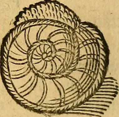 An illustration from Historia novi et admirabilis fontis balneique Bollensis in Ducatu Wirtembergico ad acidulas Goepingenses : mandato illustris. principis ac D.D. Frid. Ducis Vvirtemberg. et Teccensis. Comitis Montisbelig. &c. ac Equ. Ord. Reg. Gall. ad subditorum omniumqu[e] vicinorum & exterorum emolumentum ob vires insignes adornati,, 1598, leaf 367