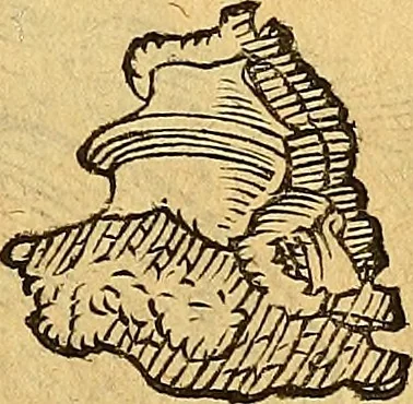 An illustration from Historia novi et admirabilis fontis balneique Bollensis in Ducatu Wirtembergico ad acidulas Goepingenses : mandato illustris. principis ac D.D. Frid. Ducis Vvirtemberg. et Teccensis. Comitis Montisbelig. &c. ac Equ. Ord. Reg. Gall. ad subditorum omniumqu[e] vicinorum & exterorum emolumentum ob vires insignes adornati,, 1598, leaf 368