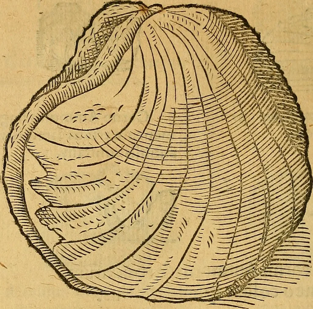 An illustration from Historia novi et admirabilis fontis balneique Bollensis in Ducatu Wirtembergico ad acidulas Goepingenses : mandato illustris. principis ac D.D. Frid. Ducis Vvirtemberg. et Teccensis. Comitis Montisbelig. &c. ac Equ. Ord. Reg. Gall. ad subditorum omniumqu[e] vicinorum & exterorum emolumentum ob vires insignes adornati,, 1598, leaf 369
