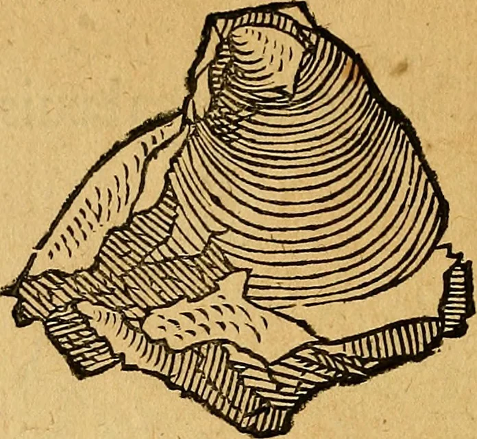 An illustration from Historia novi et admirabilis fontis balneique Bollensis in Ducatu Wirtembergico ad acidulas Goepingenses : mandato illustris. principis ac D.D. Frid. Ducis Vvirtemberg. et Teccensis. Comitis Montisbelig. &c. ac Equ. Ord. Reg. Gall. ad subditorum omniumqu[e] vicinorum & exterorum emolumentum ob vires insignes adornati,, 1598, leaf 371