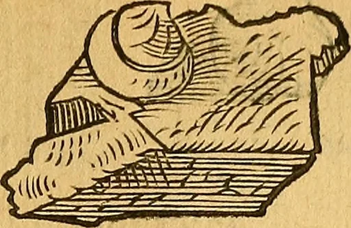 An illustration from Historia novi et admirabilis fontis balneique Bollensis in Ducatu Wirtembergico ad acidulas Goepingenses : mandato illustris. principis ac D.D. Frid. Ducis Vvirtemberg. et Teccensis. Comitis Montisbelig. &c. ac Equ. Ord. Reg. Gall. ad subditorum omniumqu[e] vicinorum & exterorum emolumentum ob vires insignes adornati,, 1598, leaf 374