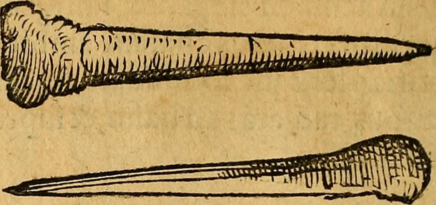 An illustration from Historia novi et admirabilis fontis balneique Bollensis in Ducatu Wirtembergico ad acidulas Goepingenses : mandato illustris. principis ac D.D. Frid. Ducis Vvirtemberg. et Teccensis. Comitis Montisbelig. &c. ac Equ. Ord. Reg. Gall. ad subditorum omniumqu[e] vicinorum & exterorum emolumentum ob vires insignes adornati,, 1598, leaf 379