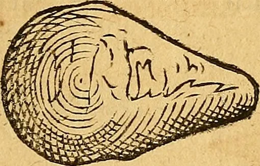 An illustration from Historia novi et admirabilis fontis balneique Bollensis in Ducatu Wirtembergico ad acidulas Goepingenses : mandato illustris. principis ac D.D. Frid. Ducis Vvirtemberg. et Teccensis. Comitis Montisbelig. &c. ac Equ. Ord. Reg. Gall. ad subditorum omniumqu[e] vicinorum & exterorum emolumentum ob vires insignes adornati,, 1598, leaf 380
