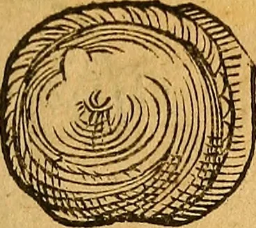 An illustration from Historia novi et admirabilis fontis balneique Bollensis in Ducatu Wirtembergico ad acidulas Goepingenses : mandato illustris. principis ac D.D. Frid. Ducis Vvirtemberg. et Teccensis. Comitis Montisbelig. &c. ac Equ. Ord. Reg. Gall. ad subditorum omniumqu[e] vicinorum & exterorum emolumentum ob vires insignes adornati,, 1598, leaf 382