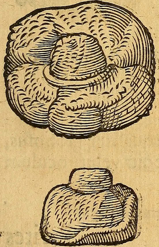 An illustration from Historia novi et admirabilis fontis balneique Bollensis in Ducatu Wirtembergico ad acidulas Goepingenses : mandato illustris. principis ac D.D. Frid. Ducis Vvirtemberg. et Teccensis. Comitis Montisbelig. &c. ac Equ. Ord. Reg. Gall. ad subditorum omniumqu[e] vicinorum & exterorum emolumentum ob vires insignes adornati,, 1598, leaf 382