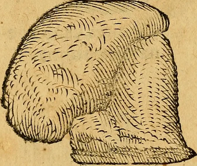 An illustration from Historia novi et admirabilis fontis balneique Bollensis in Ducatu Wirtembergico ad acidulas Goepingenses : mandato illustris. principis ac D.D. Frid. Ducis Vvirtemberg. et Teccensis. Comitis Montisbelig. &c. ac Equ. Ord. Reg. Gall. ad subditorum omniumqu[e] vicinorum & exterorum emolumentum ob vires insignes adornati,, 1598, leaf 383