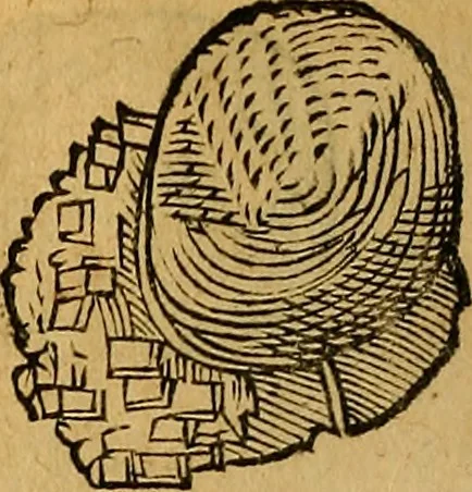 An illustration from Historia novi et admirabilis fontis balneique Bollensis in Ducatu Wirtembergico ad acidulas Goepingenses : mandato illustris. principis ac D.D. Frid. Ducis Vvirtemberg. et Teccensis. Comitis Montisbelig. &c. ac Equ. Ord. Reg. Gall. ad subditorum omniumqu[e] vicinorum & exterorum emolumentum ob vires insignes adornati,, 1598, leaf 383