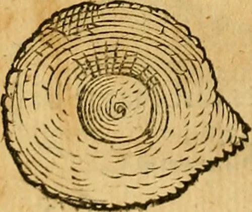 An illustration from Historia novi et admirabilis fontis balneique Bollensis in Ducatu Wirtembergico ad acidulas Goepingenses : mandato illustris. principis ac D.D. Frid. Ducis Vvirtemberg. et Teccensis. Comitis Montisbelig. &c. ac Equ. Ord. Reg. Gall. ad subditorum omniumqu[e] vicinorum & exterorum emolumentum ob vires insignes adornati,, 1598, leaf 383