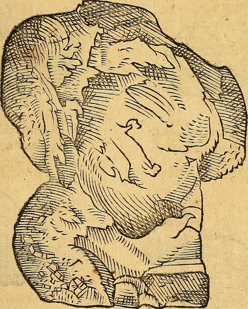 An illustration from Historia novi et admirabilis fontis balneique Bollensis in Ducatu Wirtembergico ad acidulas Goepingenses : mandato illustris. principis ac D.D. Frid. Ducis Vvirtemberg. et Teccensis. Comitis Montisbelig. &c. ac Equ. Ord. Reg. Gall. ad subditorum omniumqu[e] vicinorum & exterorum emolumentum ob vires insignes adornati,, 1598, leaf 384