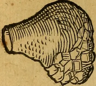 An illustration from Historia novi et admirabilis fontis balneique Bollensis in Ducatu Wirtembergico ad acidulas Goepingenses : mandato illustris. principis ac D.D. Frid. Ducis Vvirtemberg. et Teccensis. Comitis Montisbelig. &c. ac Equ. Ord. Reg. Gall. ad subditorum omniumqu[e] vicinorum & exterorum emolumentum ob vires insignes adornati,, 1598, leaf 385