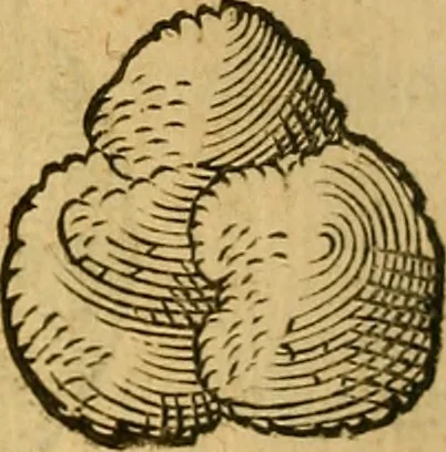 An illustration from Historia novi et admirabilis fontis balneique Bollensis in Ducatu Wirtembergico ad acidulas Goepingenses : mandato illustris. principis ac D.D. Frid. Ducis Vvirtemberg. et Teccensis. Comitis Montisbelig. &c. ac Equ. Ord. Reg. Gall. ad subditorum omniumqu[e] vicinorum & exterorum emolumentum ob vires insignes adornati,, 1598, leaf 385