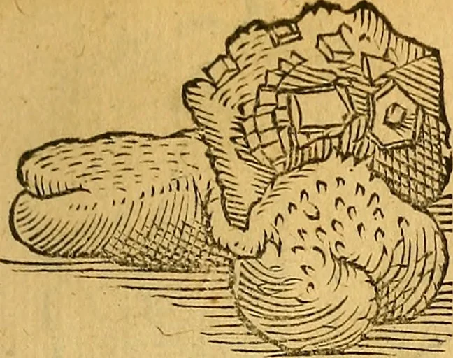 An illustration from Historia novi et admirabilis fontis balneique Bollensis in Ducatu Wirtembergico ad acidulas Goepingenses : mandato illustris. principis ac D.D. Frid. Ducis Vvirtemberg. et Teccensis. Comitis Montisbelig. &c. ac Equ. Ord. Reg. Gall. ad subditorum omniumqu[e] vicinorum & exterorum emolumentum ob vires insignes adornati,, 1598, leaf 386