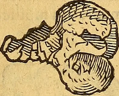 An illustration from Historia novi et admirabilis fontis balneique Bollensis in Ducatu Wirtembergico ad acidulas Goepingenses : mandato illustris. principis ac D.D. Frid. Ducis Vvirtemberg. et Teccensis. Comitis Montisbelig. &c. ac Equ. Ord. Reg. Gall. ad subditorum omniumqu[e] vicinorum & exterorum emolumentum ob vires insignes adornati,, 1598, leaf 386