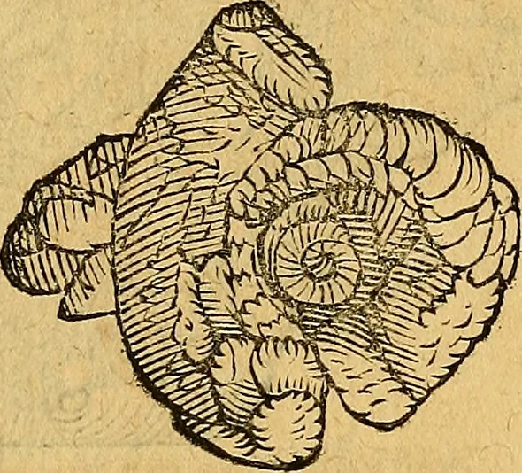 An illustration from Historia novi et admirabilis fontis balneique Bollensis in Ducatu Wirtembergico ad acidulas Goepingenses : mandato illustris. principis ac D.D. Frid. Ducis Vvirtemberg. et Teccensis. Comitis Montisbelig. &c. ac Equ. Ord. Reg. Gall. ad subditorum omniumqu[e] vicinorum & exterorum emolumentum ob vires insignes adornati,, 1598, leaf 387