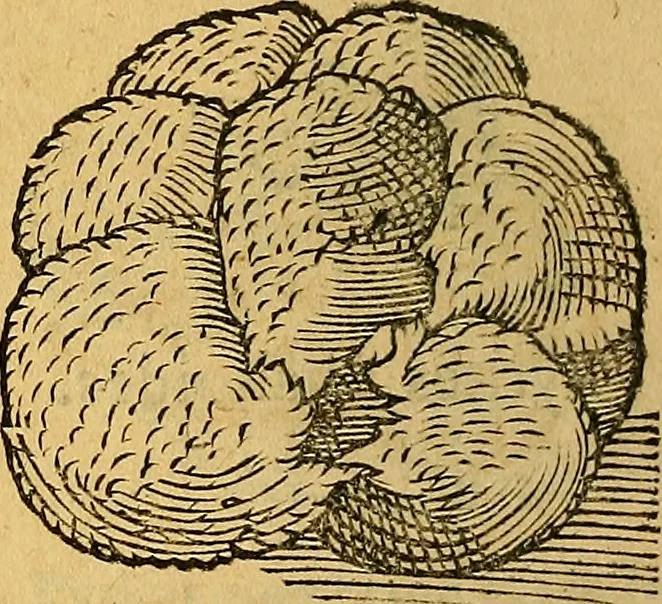 An illustration from Historia novi et admirabilis fontis balneique Bollensis in Ducatu Wirtembergico ad acidulas Goepingenses : mandato illustris. principis ac D.D. Frid. Ducis Vvirtemberg. et Teccensis. Comitis Montisbelig. &c. ac Equ. Ord. Reg. Gall. ad subditorum omniumqu[e] vicinorum & exterorum emolumentum ob vires insignes adornati,, 1598, leaf 387
