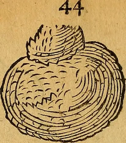An illustration from Historia novi et admirabilis fontis balneique Bollensis in Ducatu Wirtembergico ad acidulas Goepingenses : mandato illustris. principis ac D.D. Frid. Ducis Vvirtemberg. et Teccensis. Comitis Montisbelig. &c. ac Equ. Ord. Reg. Gall. ad subditorum omniumqu[e] vicinorum & exterorum emolumentum ob vires insignes adornati,, 1598, leaf 389