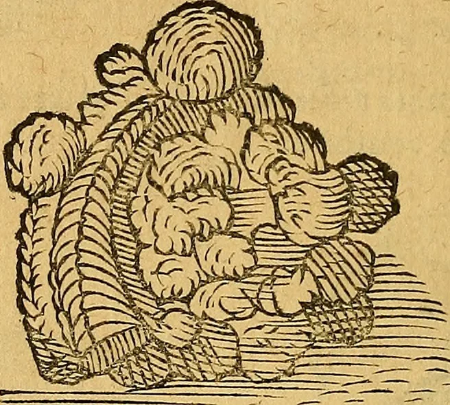 An illustration from Historia novi et admirabilis fontis balneique Bollensis in Ducatu Wirtembergico ad acidulas Goepingenses : mandato illustris. principis ac D.D. Frid. Ducis Vvirtemberg. et Teccensis. Comitis Montisbelig. &c. ac Equ. Ord. Reg. Gall. ad subditorum omniumqu[e] vicinorum & exterorum emolumentum ob vires insignes adornati,, 1598, leaf 389
