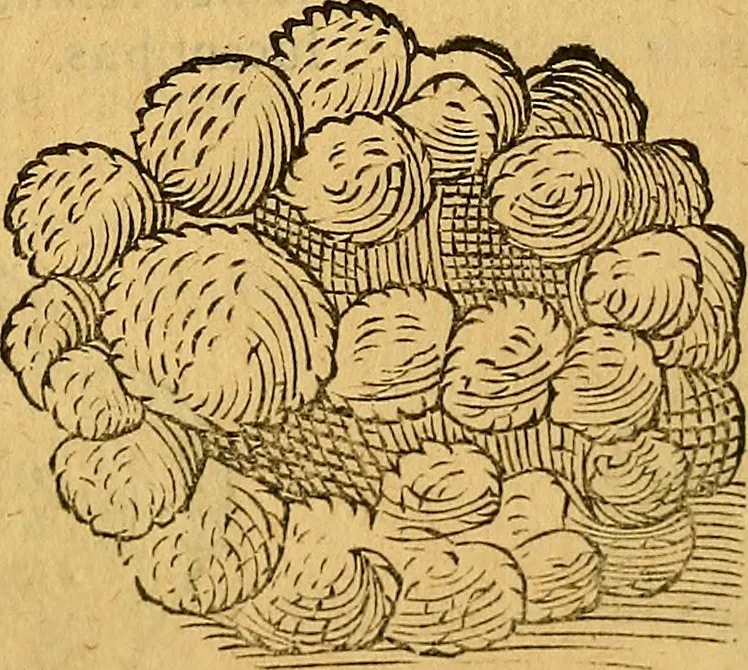 An illustration from Historia novi et admirabilis fontis balneique Bollensis in Ducatu Wirtembergico ad acidulas Goepingenses : mandato illustris. principis ac D.D. Frid. Ducis Vvirtemberg. et Teccensis. Comitis Montisbelig. &c. ac Equ. Ord. Reg. Gall. ad subditorum omniumqu[e] vicinorum & exterorum emolumentum ob vires insignes adornati,, 1598, leaf 389