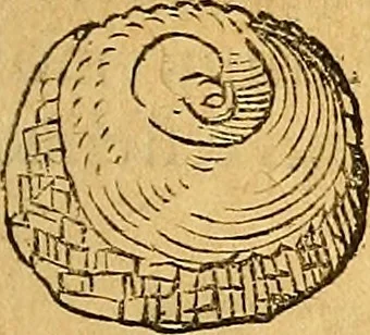 An illustration from Historia novi et admirabilis fontis balneique Bollensis in Ducatu Wirtembergico ad acidulas Goepingenses : mandato illustris. principis ac D.D. Frid. Ducis Vvirtemberg. et Teccensis. Comitis Montisbelig. &c. ac Equ. Ord. Reg. Gall. ad subditorum omniumqu[e] vicinorum & exterorum emolumentum ob vires insignes adornati,, 1598, leaf 392