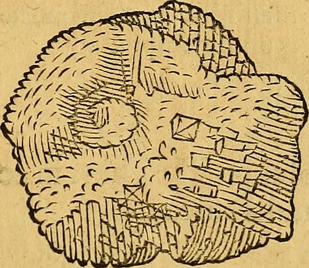 An illustration from Historia novi et admirabilis fontis balneique Bollensis in Ducatu Wirtembergico ad acidulas Goepingenses : mandato illustris. principis ac D.D. Frid. Ducis Vvirtemberg. et Teccensis. Comitis Montisbelig. &c. ac Equ. Ord. Reg. Gall. ad subditorum omniumqu[e] vicinorum & exterorum emolumentum ob vires insignes adornati,, 1598, leaf 393