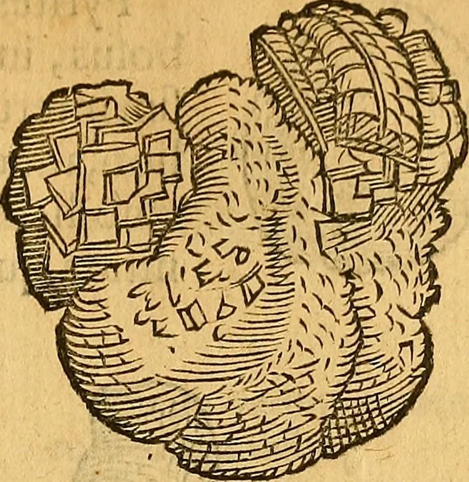 An illustration from Historia novi et admirabilis fontis balneique Bollensis in Ducatu Wirtembergico ad acidulas Goepingenses : mandato illustris. principis ac D.D. Frid. Ducis Vvirtemberg. et Teccensis. Comitis Montisbelig. &c. ac Equ. Ord. Reg. Gall. ad subditorum omniumqu[e] vicinorum & exterorum emolumentum ob vires insignes adornati,, 1598, leaf 394