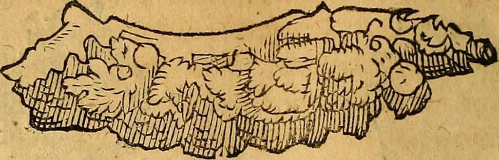 An illustration from Historia novi et admirabilis fontis balneique Bollensis in Ducatu Wirtembergico ad acidulas Goepingenses : mandato illustris. principis ac D.D. Frid. Ducis Vvirtemberg. et Teccensis. Comitis Montisbelig. &c. ac Equ. Ord. Reg. Gall. ad subditorum omniumqu[e] vicinorum & exterorum emolumentum ob vires insignes adornati,, 1598, leaf 399