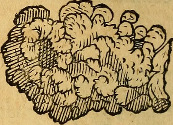 An illustration from Historia novi et admirabilis fontis balneique Bollensis in Ducatu Wirtembergico ad acidulas Goepingenses : mandato illustris. principis ac D.D. Frid. Ducis Vvirtemberg. et Teccensis. Comitis Montisbelig. &c. ac Equ. Ord. Reg. Gall. ad subditorum omniumqu[e] vicinorum & exterorum emolumentum ob vires insignes adornati,, 1598, leaf 399