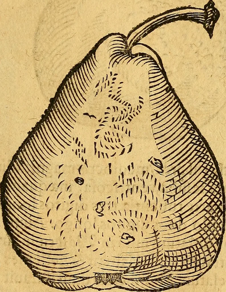 An illustration from Historia novi et admirabilis fontis balneique Bollensis in Ducatu Wirtembergico ad acidulas Goepingenses : mandato illustris. principis ac D.D. Frid. Ducis Vvirtemberg. et Teccensis. Comitis Montisbelig. &c. ac Equ. Ord. Reg. Gall. ad subditorum omniumqu[e] vicinorum & exterorum emolumentum ob vires insignes adornati,, 1598, leaf 460